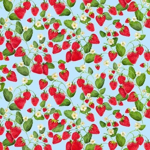 Fabric Remnant -Strawberry Fields Forever 49cm