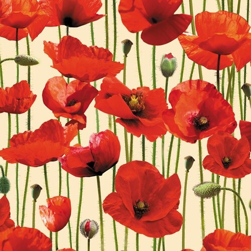 ANZAC War Poppies Poppy Cream Wide Back 108" E