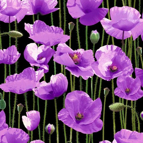 Animals of  War Purple Poppies Poppy Wide Back 108" C