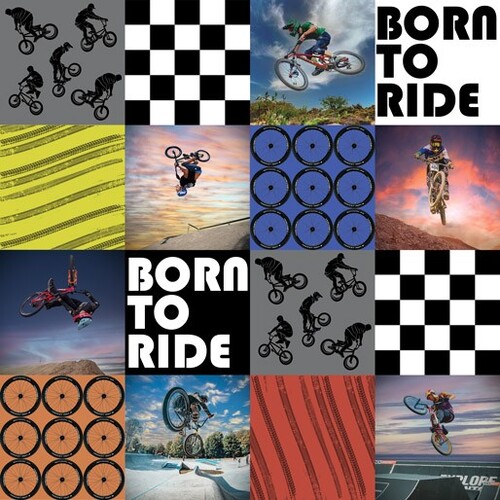Bunny Hop Mania BMX Bike Riders Collage 1115B