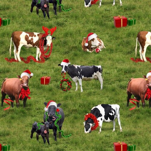 The Night Before Christmas Festive Cattle Cows Allover 1117I