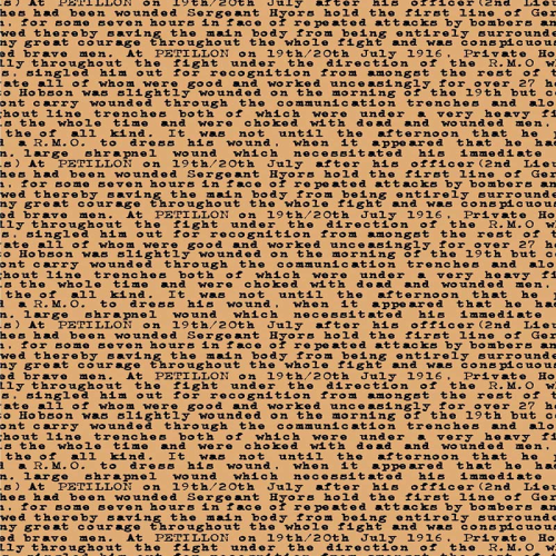 Fabric Remnant -Remembering Anzac Soldiers Letter 39cm