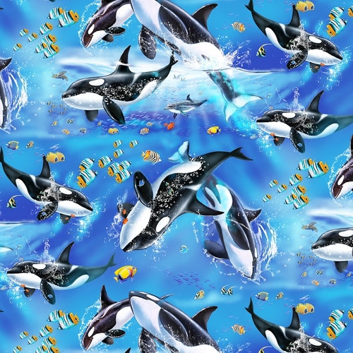 Sea Life Diving Orca Whales Fish BQ5754 017 