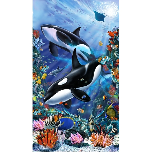 Sea Life Orca Whale Quilt Panel BQ5756P 017