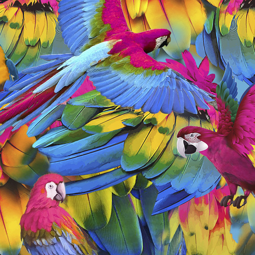 Who Let the Birds Out Feathers Parrots Multi 0483