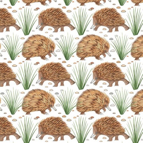 Fabric Remnant -	Forest Wonders Echidna White 93cm