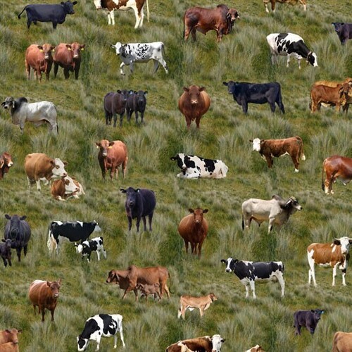 Fabric Remnant -Country Mixed Cows Farm Grass 63cm