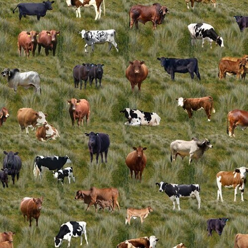 Fabric Remnant -Country Mixed Cows Farm Grass 63cm
