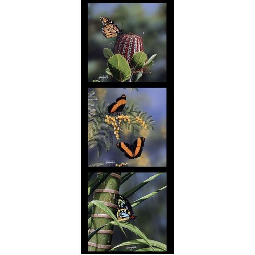 Wildlife Art Butterflies Australian Wildflowers Panel DV3720
