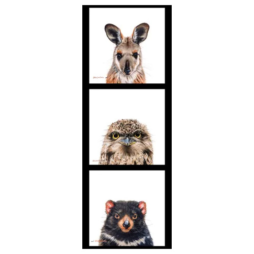 Wildlife Art Kangaroo Owl Tasmanian Devil Panel DV3724