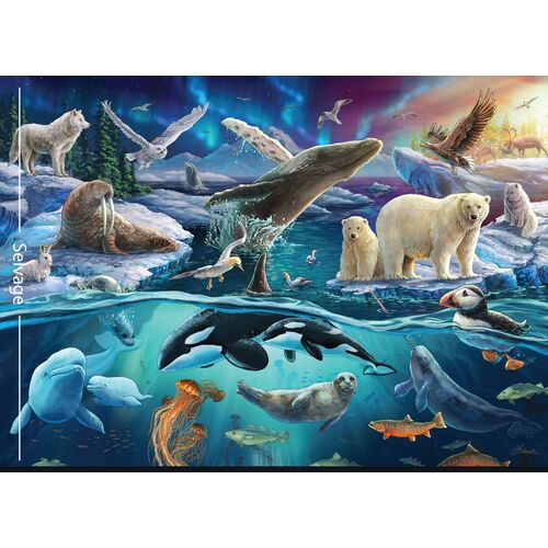 Carlie Edwards Collection Animals Mammals Arctic Panel DV6008