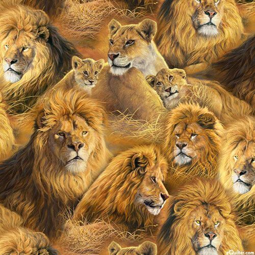 Fabric Remnant-Among the Lions and Cubs Savannah 82cm
