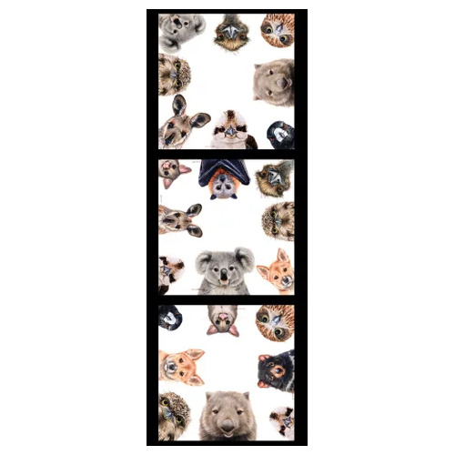 Natalie Parker Aussie Animals Tri Panel Blocks DV6277