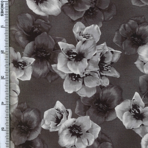 Super Sale A Floral Perspective Monochrome Steel HN7551 296