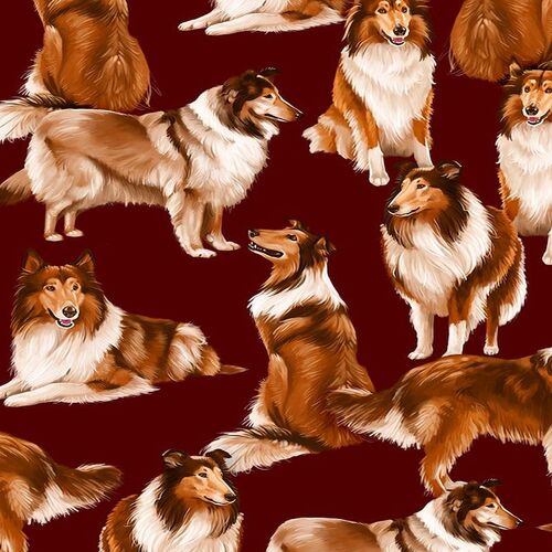 Super Sale Collies Realistic Pure Breed Dogs Maroon TTC1031