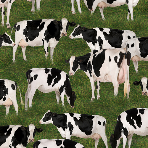 Merino Muster II Holstein Friesian Country Cows I