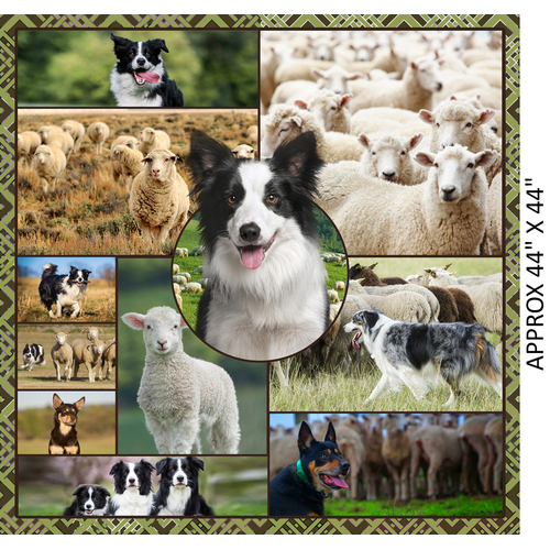Merino Muster II Border Collie Farm Dog 44" Quilt Panel D