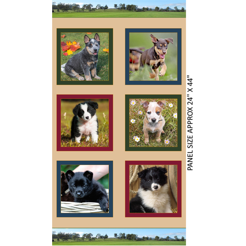 Merino Muster II Working Farm Dog Puppies 24" Quilt Panel B