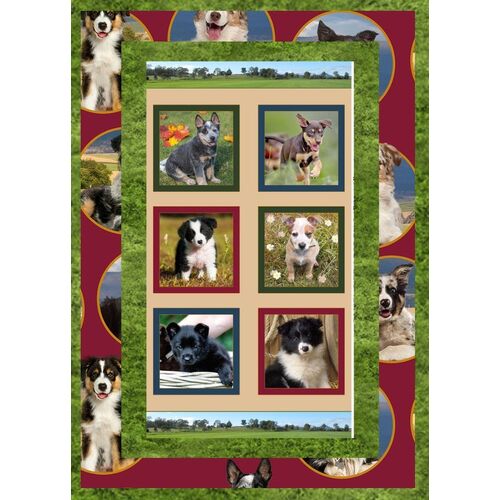 Merino Muster II Working Dog Puppies Quilt Panel Fabric Kit