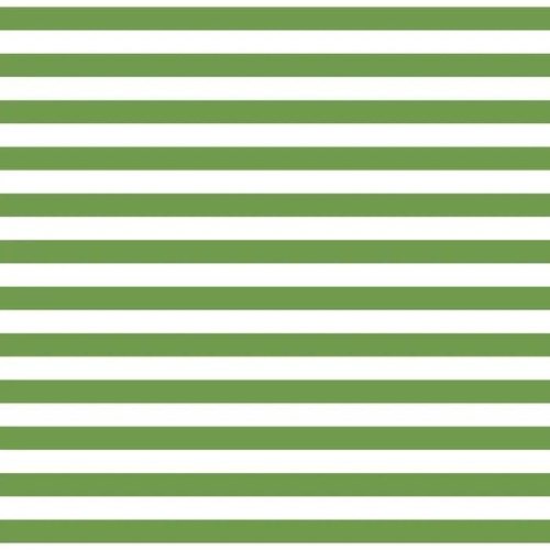 Fabric Remnant- Devonstone Fundamentals 1/2" Stripe  Green 31cm