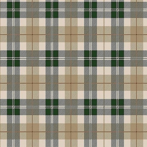 RILEY BLAKE Super Sale All About Plaids Tartan Green C638