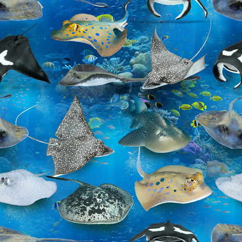 Marine Marvels Ocean Sea Stingrays 4058K