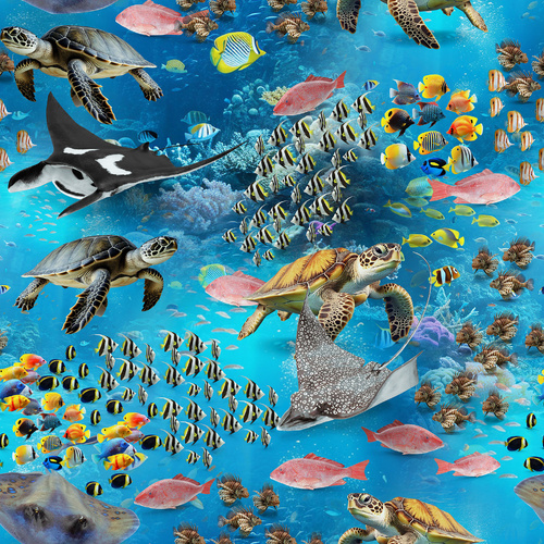 Marine Marvels Ocean Sea Life Barrier Reef 4058F