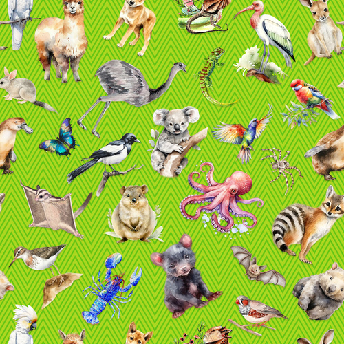 A is for Aussie Animals Chevron Green 4067F