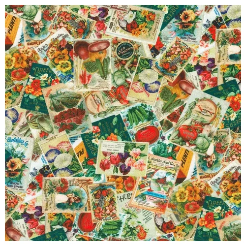 Tales from the Garden Scattered Seed Packets 23002-238