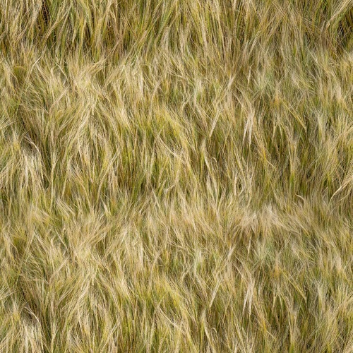 Super Sale Farmers Paradise Country Barley Crop 4100R
