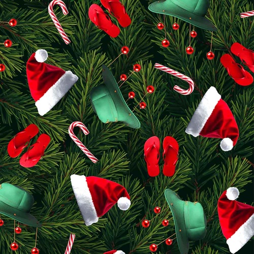 Santa in Oz Aussie Christmas Hats Candy Canes Thongs  4107J