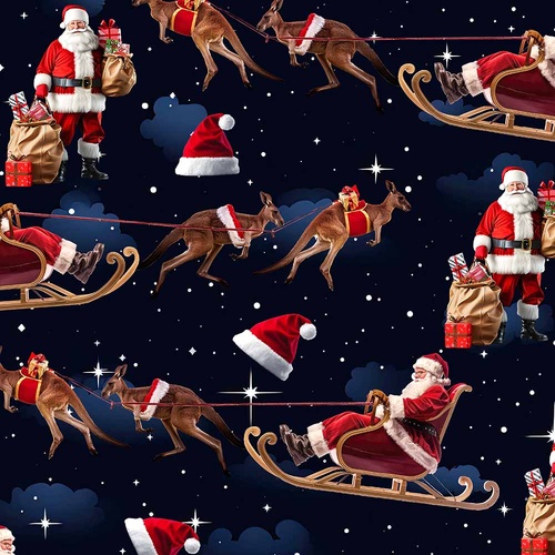 Santa in Oz Aussie Christmas Kangaroo Sleighs Flying Night 4107G