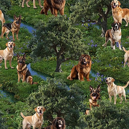 Furry Fun Puppy Dog Breeds Trees River 4060F