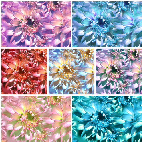 Hoffman | Bloom Floral Quilting Fabric Fat Quarter Bundle