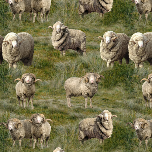 Fabric Remnant |Merino Muster Australian Ram (76cm x 112cm)