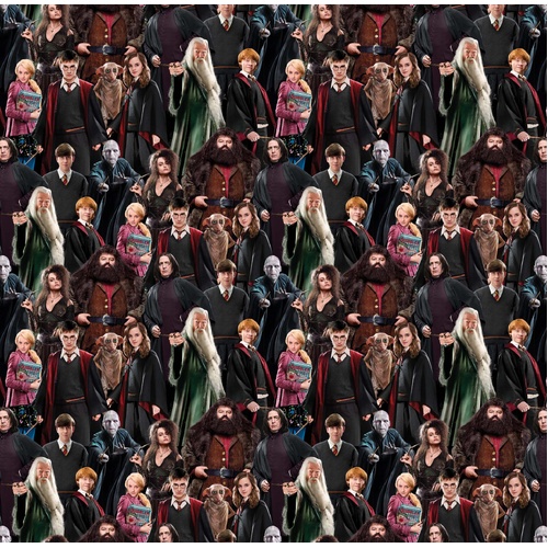 Benartex | Harry Potter | Characters Multi108" Wide Backing 15226W-99