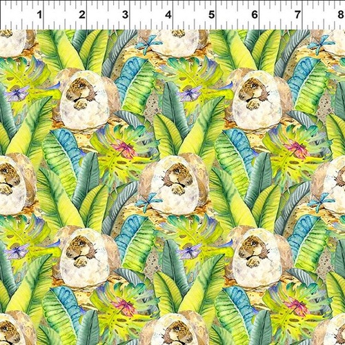 Super Sale | Jason Yenter | Dinosaur Friends Hatchlings Multi 4DIN 1 