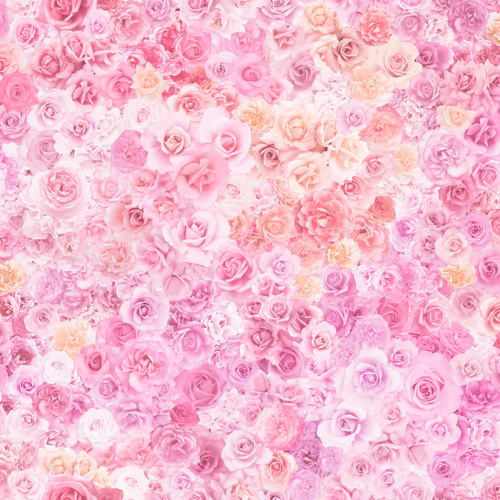 Fabric Remnant |Moda Gradients Parfait Rainbow Roses | 50cm x 112cm