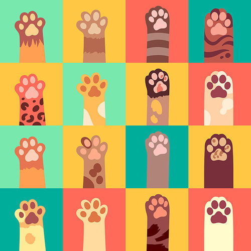 Fabric Remnant |  Pawesome Buddies Playful Paws Up  | 26cm x 112cm