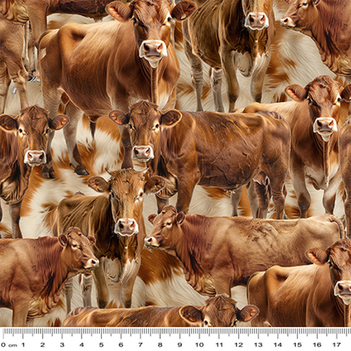 Super Sale | Homestead Bovines Jersey Cows 4101G 