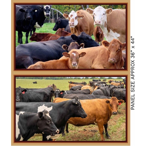 Super Sale | Homestead Bovines Jersey 36" Panel 4101B