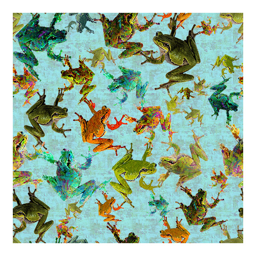Super Sale | Fabulously Froggy Frogs Aqua 4065K