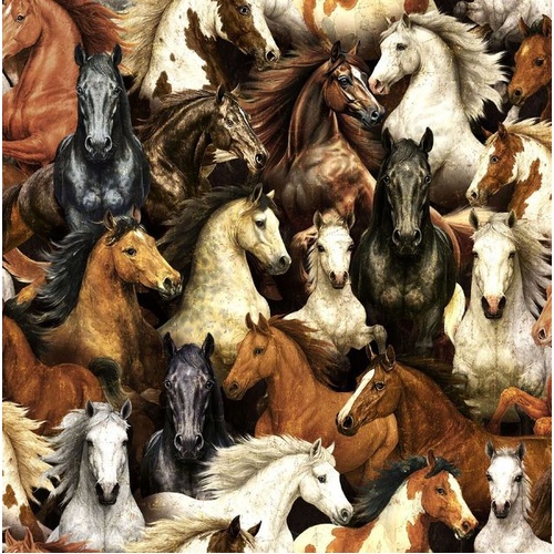 Oasis Fabrics | Thunder Horses Collage OF59-9141