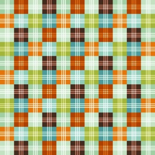 Dino-riffic Plaid Orange