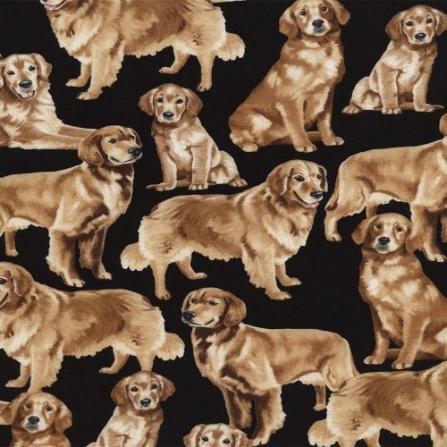 Golden Retrievers Black