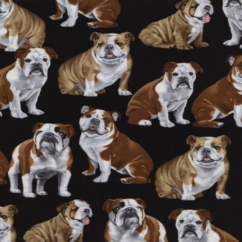 Bulldogs Black