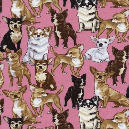 Chihuahuas Pink